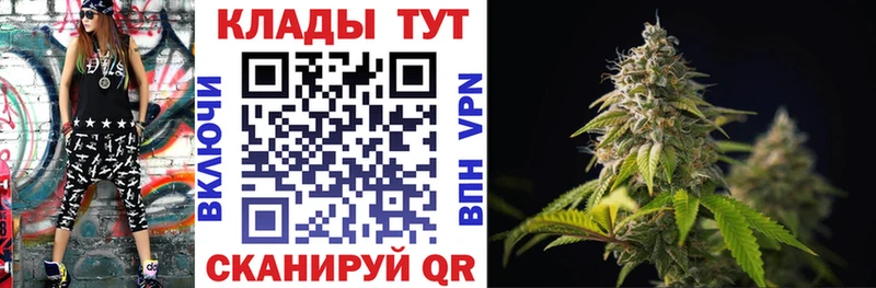  COCAIN Брюховецкая