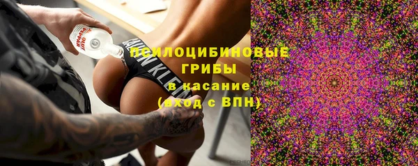 МДПВ Абинск