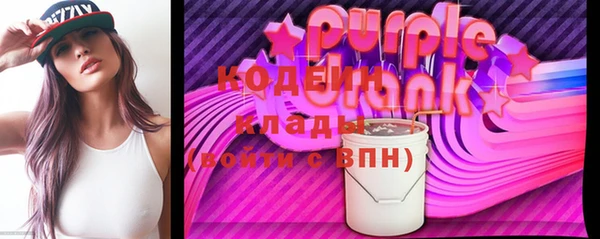индика Няндома