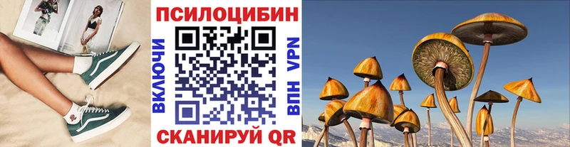 где купить наркотик  Брюховецкая  даркнет формула  Галлюциногенные грибы Magic Shrooms 
